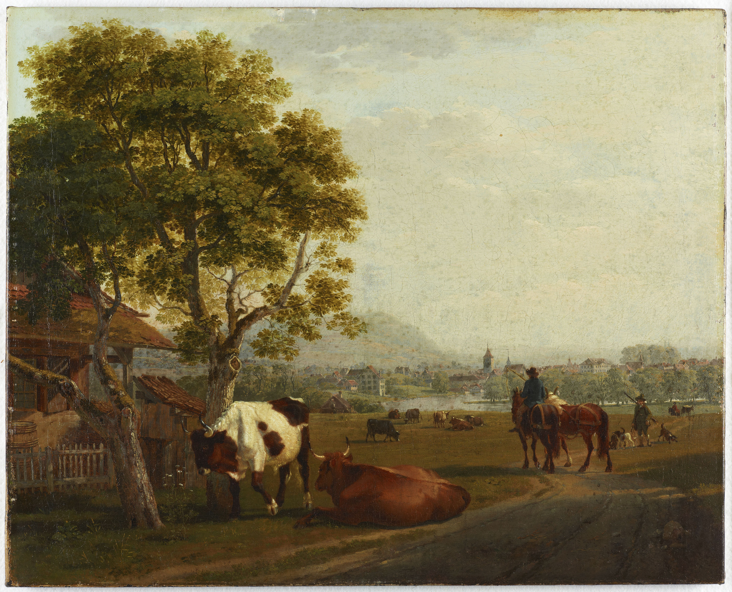 Paysage près de Zurich avec un troupeau de vaches